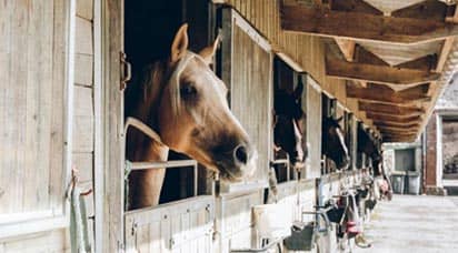 French Equestrian Properties