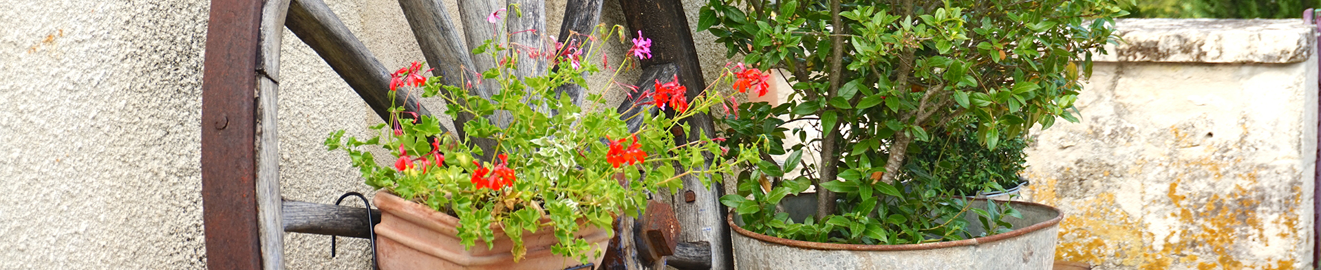 buying property in france